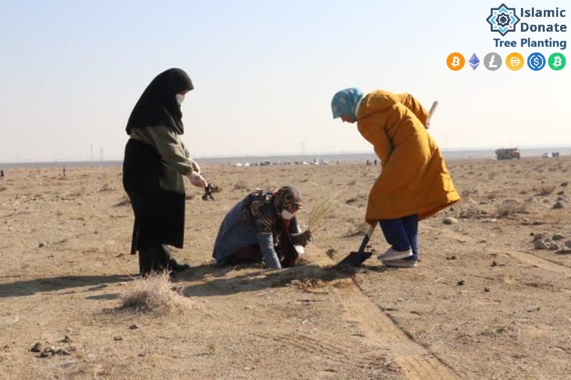 Three people planting saplings in a dry, barren field. One person plants, another digs with a shovel, and the third holds saplings with gloves. ETH donations fund this tree planting charity.