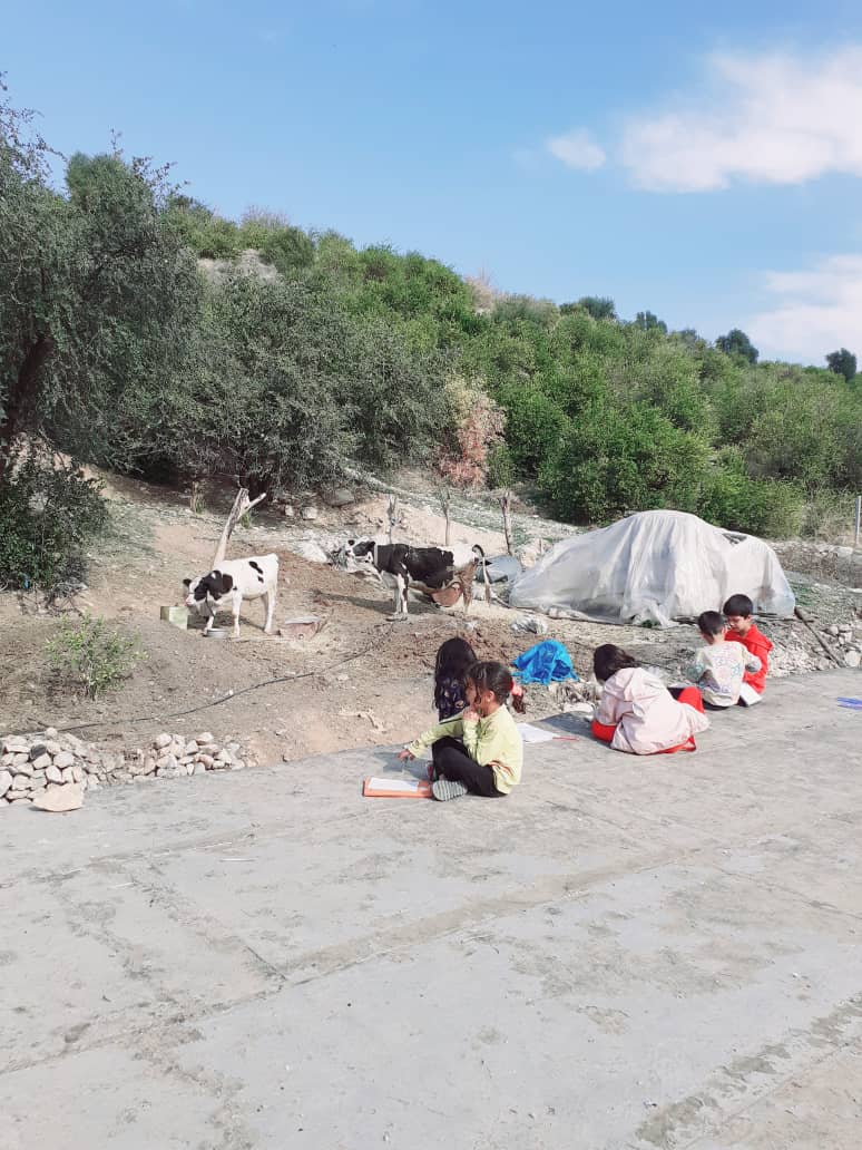 Children learning in an outdoor setting in a rural area, with cows in the background, supported by cryptocurrency donations, specifically ETH.