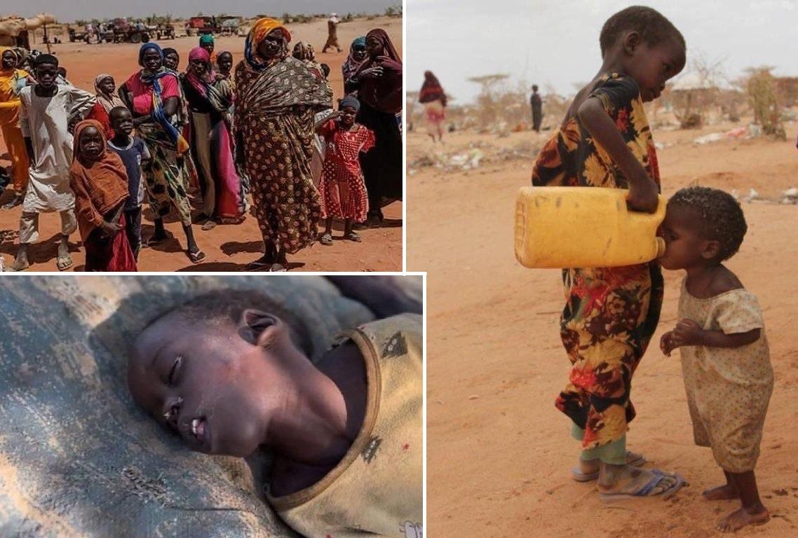 Children help Eritrea by sharing clean water. Support food insecurity relief via USDC for Islamic Charity malnourishment aid.