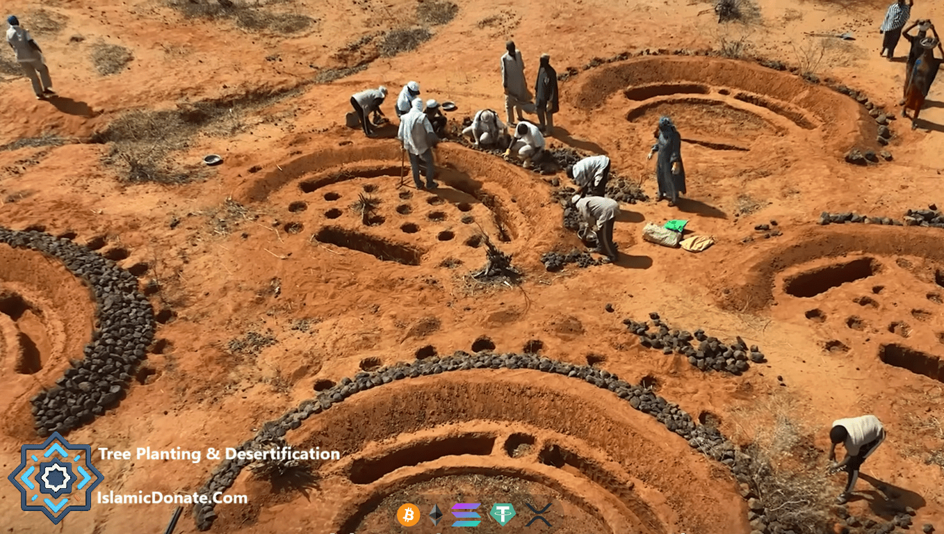 Fighting desertification through communal tree planting and soil erosion control funded by USDT and digital assets.