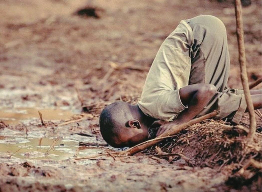 Somali child drinks from a mud puddle to survive hunger and water scarcity. Help with USDC donations for clean water wells.