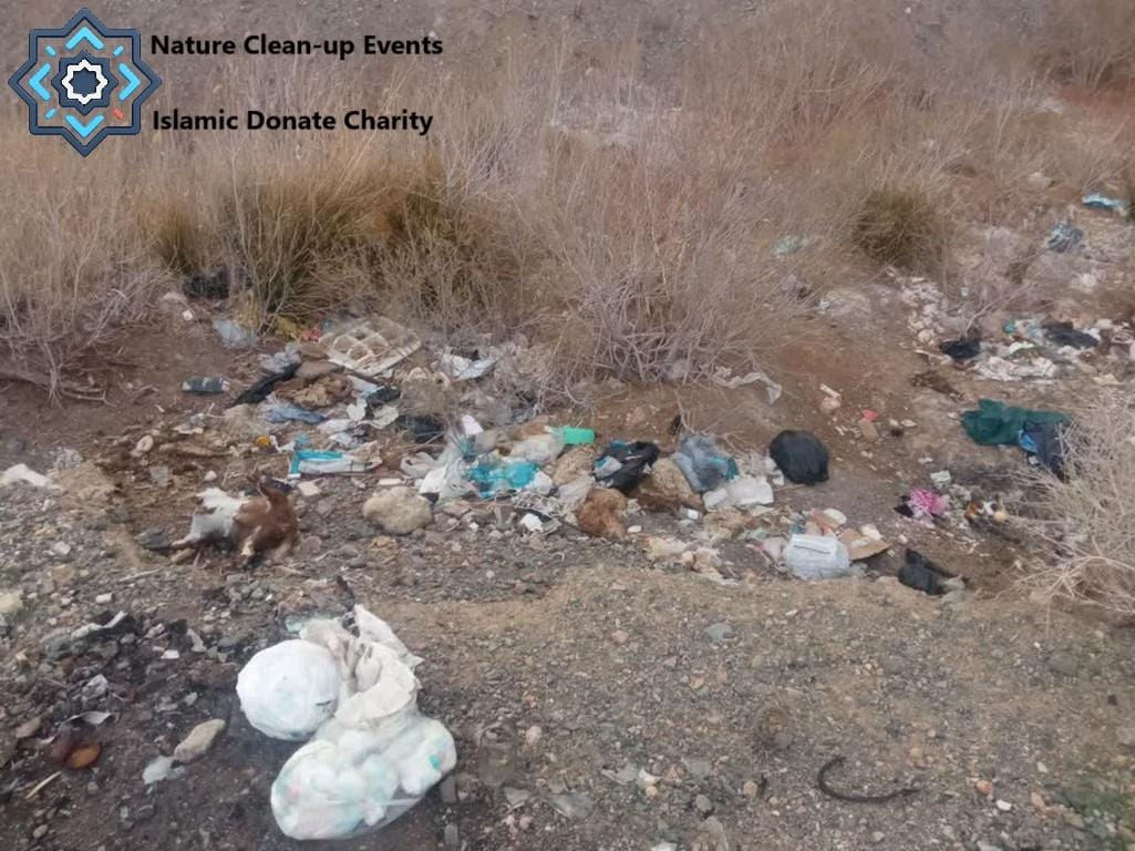 Nature Clean-up Events at polluted park with trash. Donate LTC for environmental protection and Islamic stewardship.