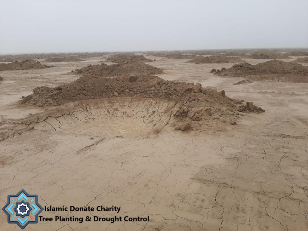 Anti-desertification half-moon water harvesting basins in arid soil funded by BNB for Islamic Donate Charity tree planting.