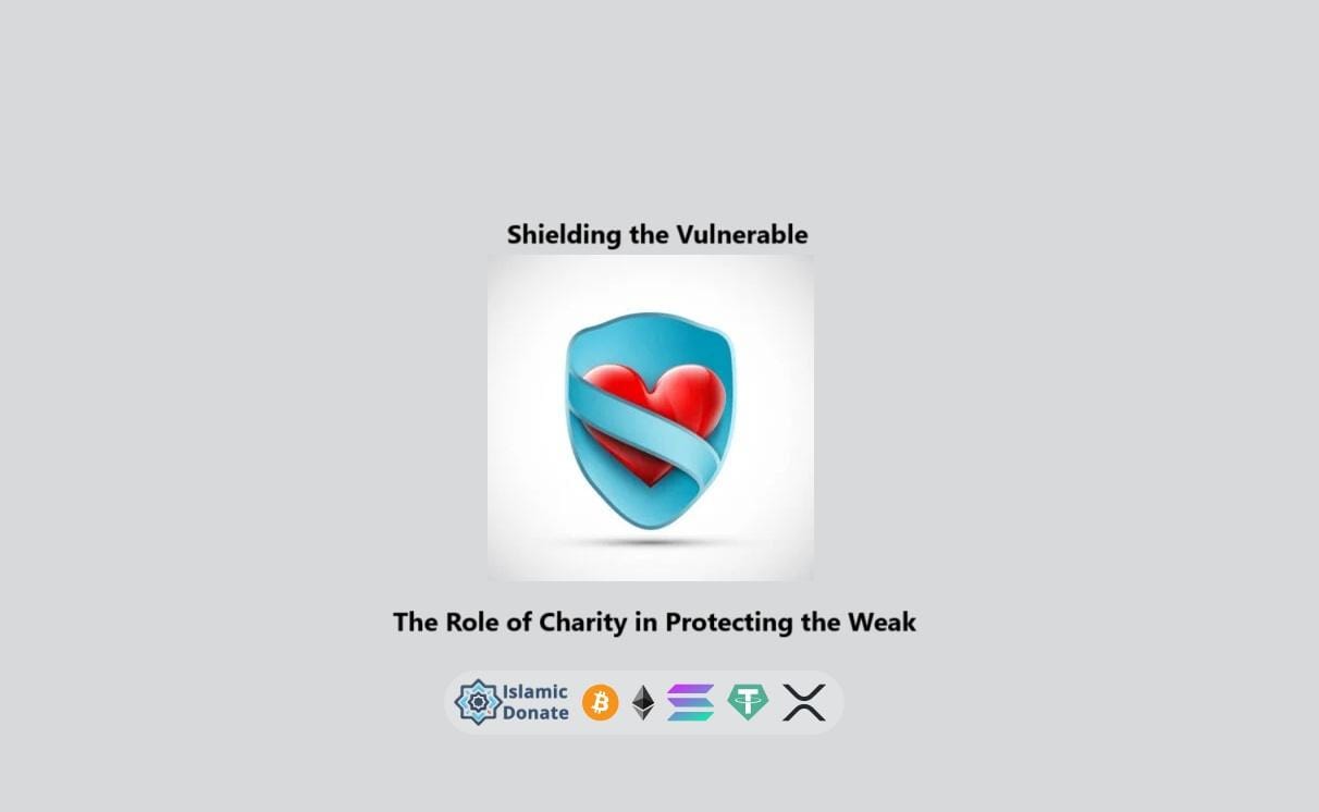 Shielding the Vulnerable heart icon text with cryptocurrency protection services donation support for human rights and safety.