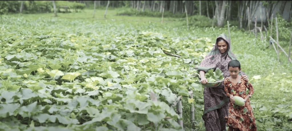 A woman and child harvesting crops in a flourishing field, symbolizing empowerment and family success supported by crypto donations like ETH.
