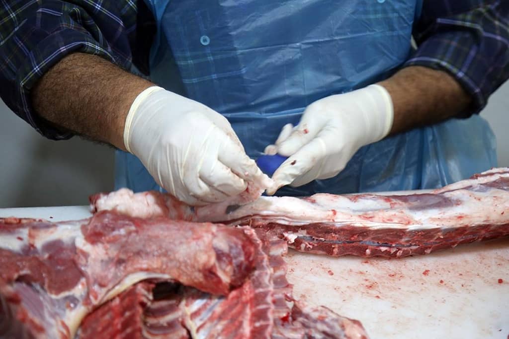 Qurbani meat preparation with gloves, aided by crypto donations like BTC, delivering nourishment and dignity to vulnerable families across Asia and Africa.