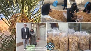 A collage of images showing date tree cultivation and harvest, local people bagging dates, and a couple standing by a bag of dates, symbolizing Sadaqah Jariyah and sustainable income for families with crypto donations, possibly via ETH.