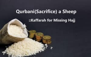 A sack of rice and stacked coins, with text indicating Qurbani (Sacrifice) a Sheep as Kaffarah for Missing Hajj, supported by ETH donations.