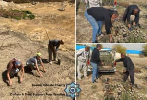 Volunteers planting fig trees in a dry landscape, donating a tree supports poor families, with options for cryptocurrency donations like ETH for sustainable projects.