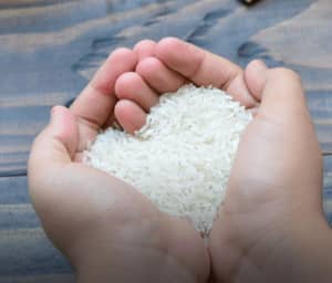 Fidya charity: compassion for missed fasts fulfilled by feeding the needy with crypto via BTC. Islamic charity for those unable to fast.