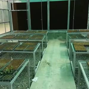 Hydroponic greenhouse with rows of seedling trays, showing the seedling and R&D areas, showcasing crypto donations empowering families through sustainable agriculture via ETH.