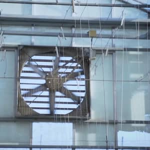 Hydroponic greenhouse with a large fan for ventilation, showing strings for plant support, powered by crypto donations through Islamic charity, fostering family resilience.