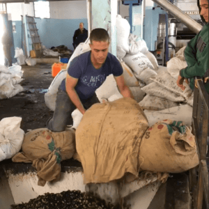 Man pouring olives from a burlap sack into a processing machine at a workshop in Syria, supported by crypto donations via USDT.