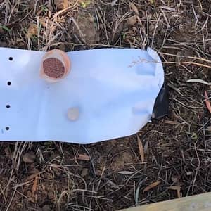 Planting olive saplings with a protective sheet, benefiting needy families through crypto donations via Bitcoin.