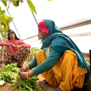 Two women working in a hydroponic greenhouse, harvesting produce supported by crypto donations with USDT. The image ties into breaking the cycle of poverty and empowering widows.