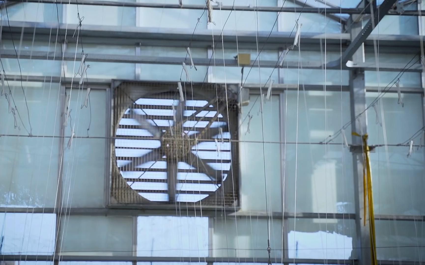 Hydroponic greenhouse with a large fan for ventilation, showing strings for plant support, powered by crypto donations through Islamic charity, fostering family resilience.