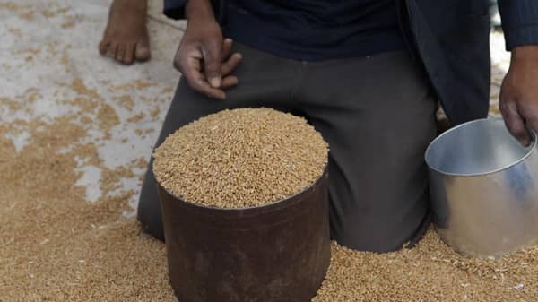 A person is kneeling down with a large container of wheat grains. Another hand holds a metal cup, surrounded by scattered wheat. This image relates to calculating Kaffara, Fidyah, and Zakat al-Fitr donations, with aid potentially processed via PYUSD.