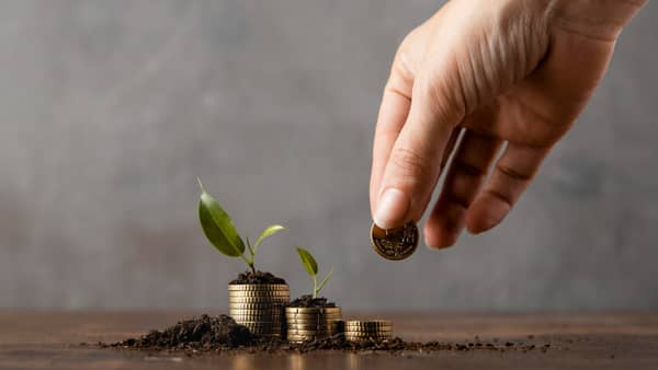 Hand places a coin on a stack of coins growing a plant. Paying Sadaqa with Bitcoin for growth and transparency. BTC