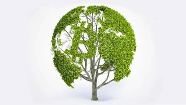 A tree shaped like the Earth, covered in green leaves, with a Bitcoin logo embedded in its trunk, symbolizing crypto donations for climate action and Islamic charity efforts.