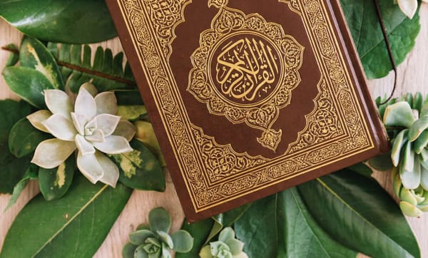 A brown Quran with gold embossed text, surrounded by lush green leaves and succulents, symbolizing spiritual nourishment and divine creation, with a donation option for planting trees via USDT.