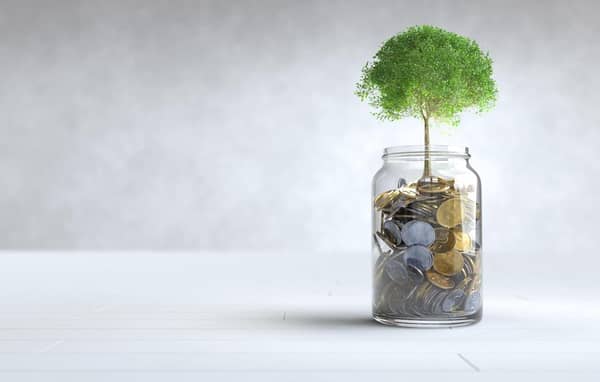 A tree grows from a glass jar filled with coins, symbolizing growth from donations, accepting ETH for Islamic charity and Sadaqah.