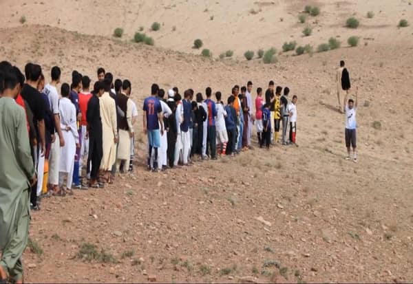 La siembra de árboles benéfica en Egipto - 2012