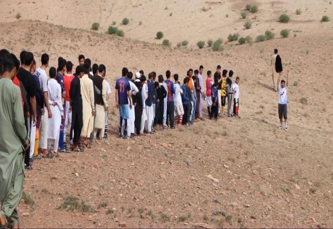 The charity tree planting in Egypt - 2012