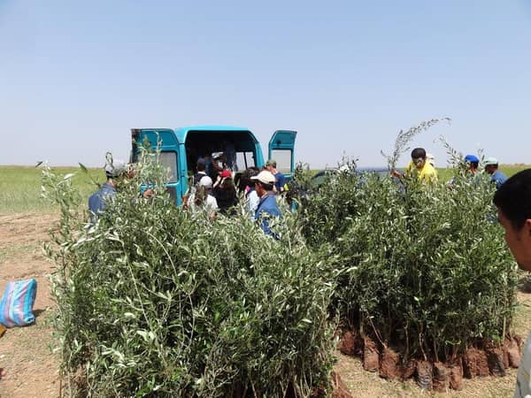 People gathered to plant olive saplings for Sadaqah Jariyah, with a turquoise van in the background and a grassy field beyond. Their charitable efforts are supported by ETH.