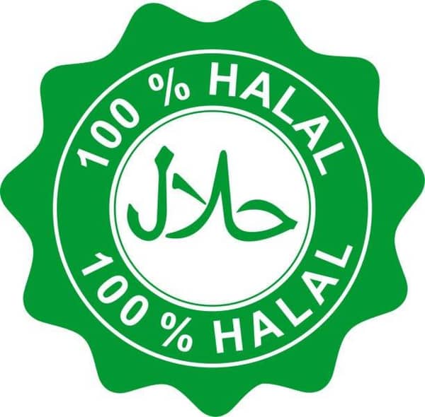 100% Halal certification logo in green, signifying permissible food and services provided through ethical financial practices and respectful interactions. Supports crypto donations with ETH.