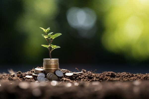 A seedling sprouts from a stack of coins on dark soil, symbolizing growth and private endowment in Islam. Donating stablecoins like USDT or ETH can fund these endowments.