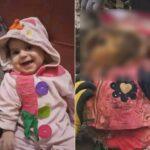 Gaza Crisis Gaza Under Fire Humanitarian aid to Palestine Donate anonymous cryptocurrency zakat BTC ETH SOL USDT